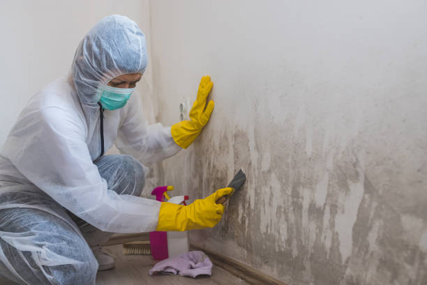 Best Crawl Space Mold Remediation  in Arbuckle, CA