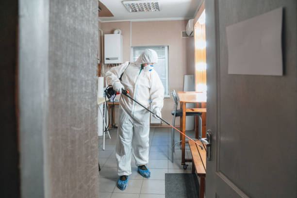 Best Post-Construction Mold Inspection  in Arbuckle, CA
