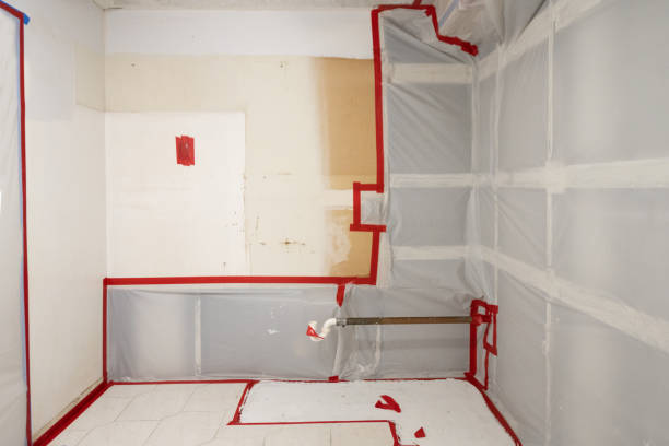 Best Water Damage & Mold Remediation  in Arbuckle, CA