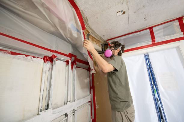 Best HVAC Mold Inspection and Cleaning  in Arbuckle, CA