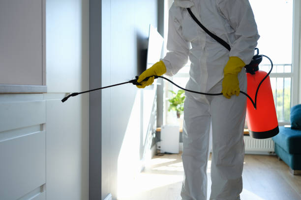 Best Asbestos and Lead Testing During Mold Inspection  in Arbuckle, CA