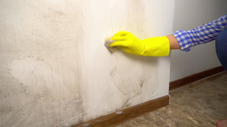 Best Mold Odor Removal Services  in Arbuckle, CA