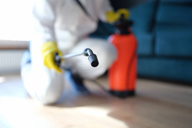 Best Air Quality Testing for Mold Spores  in Arbuckle, CA