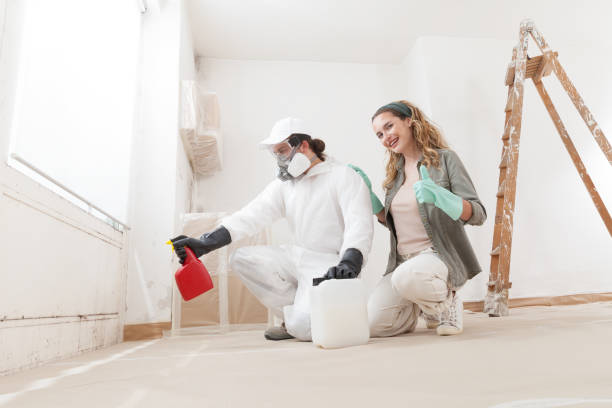 Reliable Arbuckle, CA Mold Removal Solutions